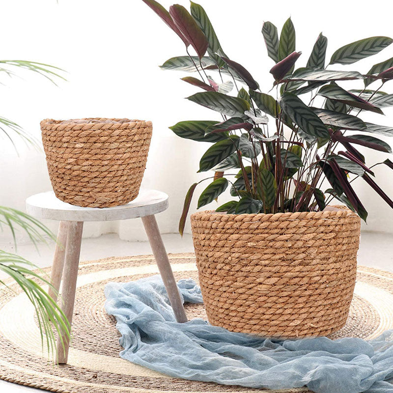 Storage Basket Plant Flower Pot Straw Seaweed Weaving Mechanism Amazon Size Plant Basket Interior Decorative Flower Pot - Seasonal Chic Variety