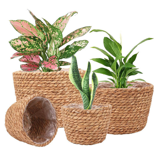 Storage Basket Plant Flower Pot Straw Seaweed Weaving Mechanism Amazon Size Plant Basket Interior Decorative Flower Pot - Seasonal Chic Variety