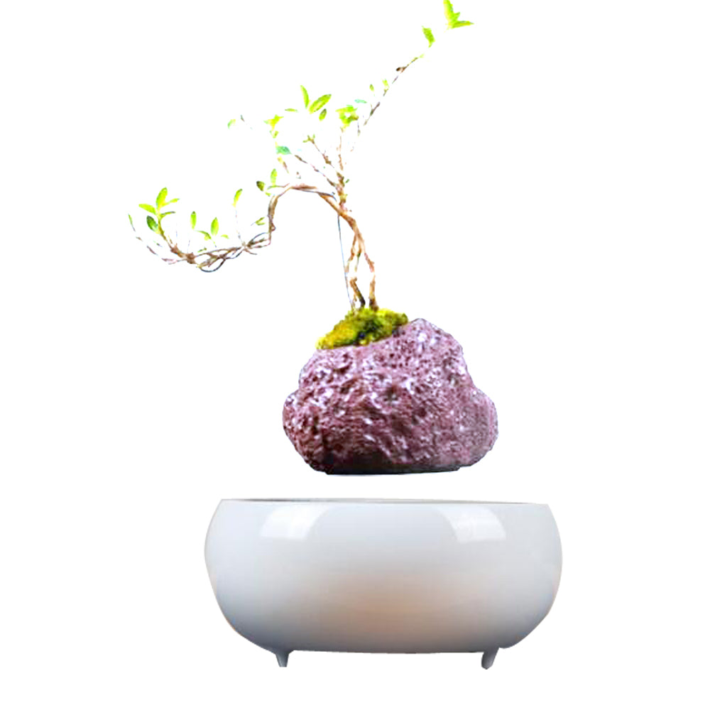 Magnetic Levitation Potted Plants - Seasonal Chic Variety