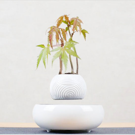 Magnetic Levitation Potted Plants - Seasonal Chic Variety