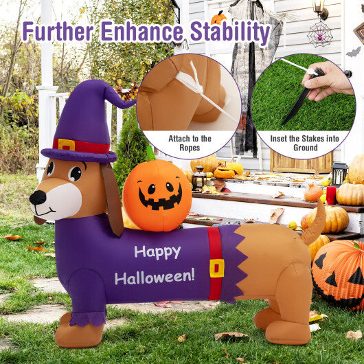 5 Feet Long Halloween Inflatable Dachshund Dog with Pumpkin - Color: Purple