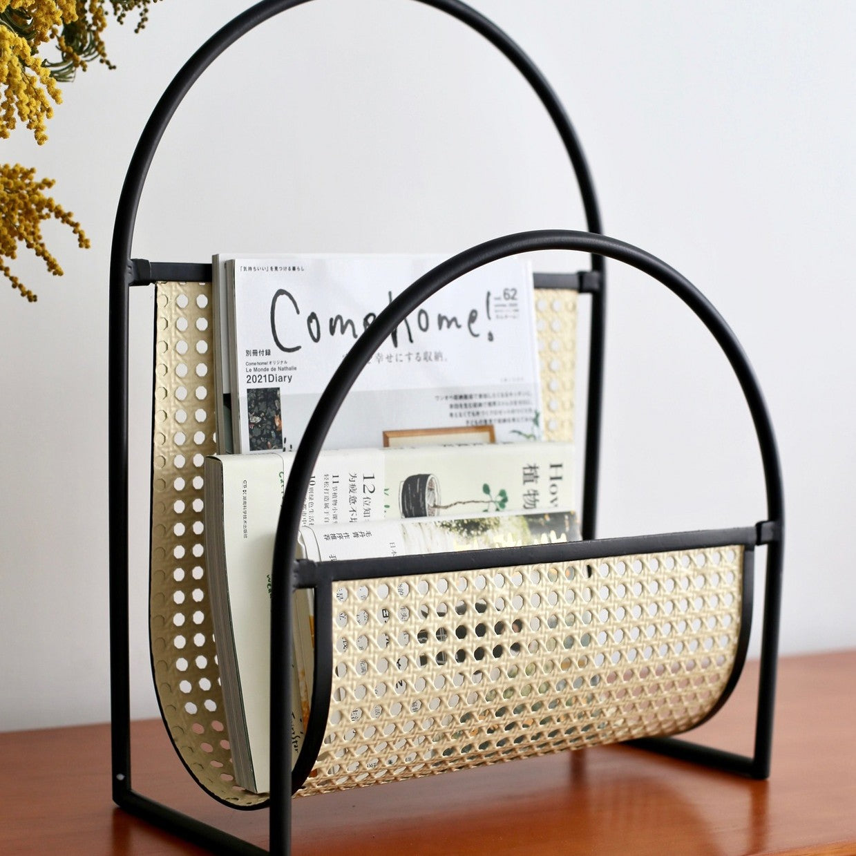 Retro Living Room Sofa Storage INS Cafe Magazine Rack - Seasonal Chic Variety