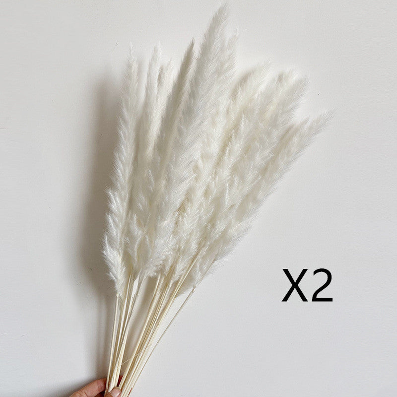 Dried Flower Decoration Inss Reed Small Reed Home Pampas Grass - Seasonal Chic Variety