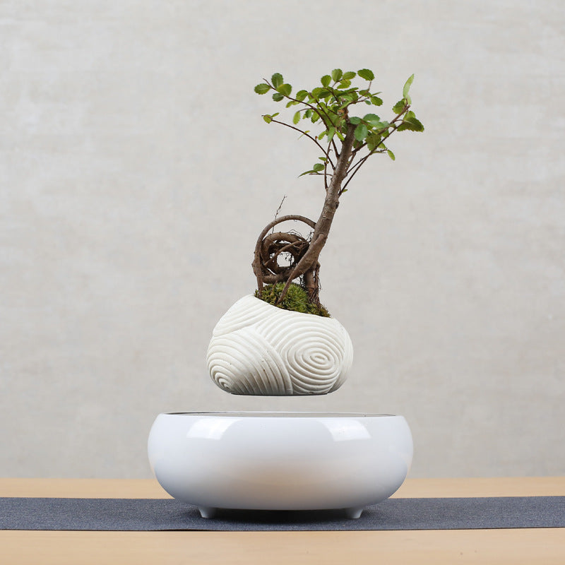 Magnetic Levitation Potted Plant Creative Gift Furniture Decoration - Seasonal Chic Variety