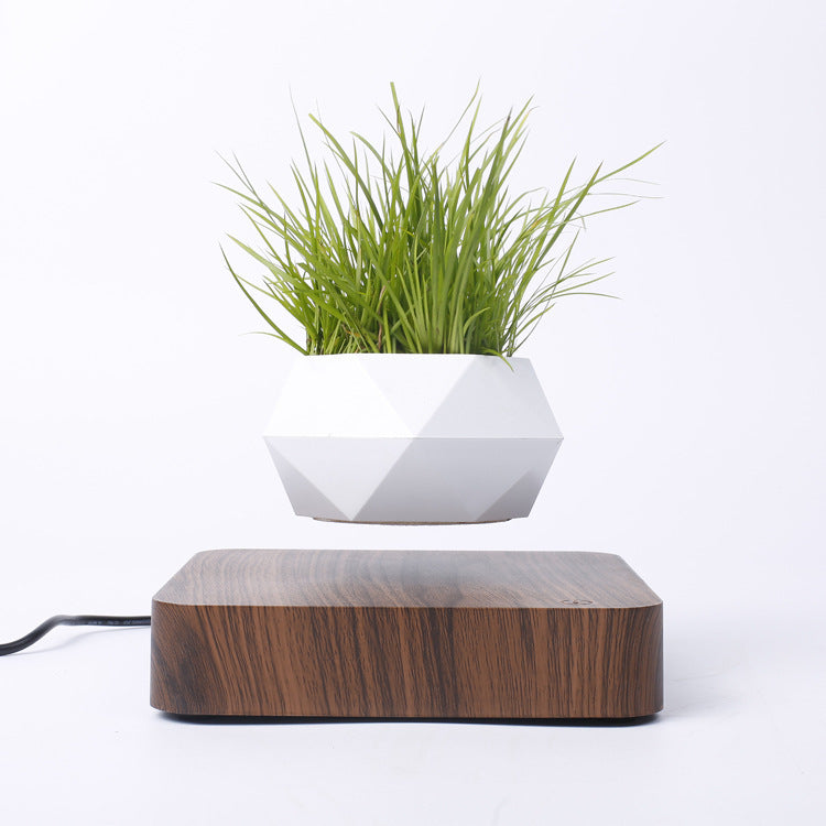 Magnetic Levitation Potted Plant Creative Gift Furniture Decoration - Seasonal Chic Variety