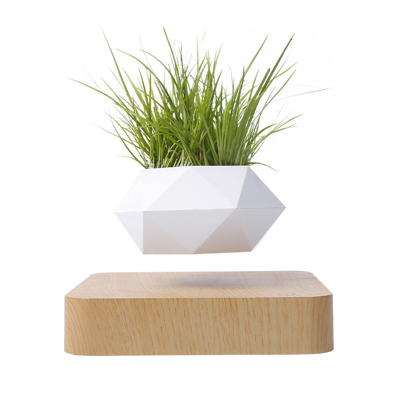 Magnetic Levitation Potted Plant Creative Gift Furniture Decoration - Seasonal Chic Variety