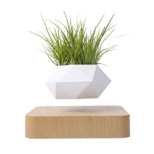 Magnetic Levitation Potted Plant Creative Gift Furniture Decoration - Seasonal Chic Variety